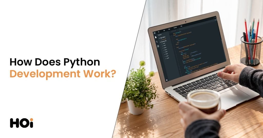 How Does Python Development Work?